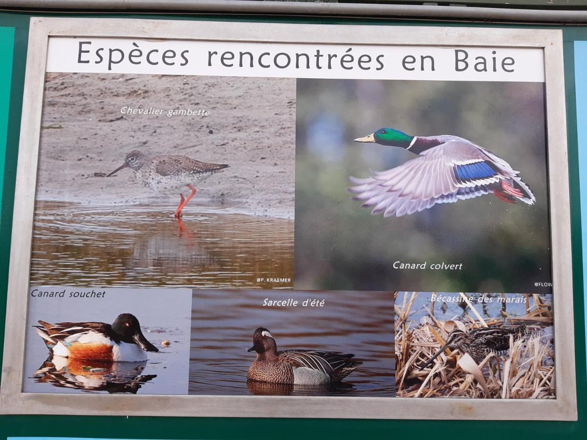 Les Obiones, Vue Laterale Mer, Fort Mahon Plage, Magnifique Studio Cabine 4P, Avec Balcon , Parking Prive Gratuit, Wifi, Classe 2 Etoiles, Exposition Plein Sud En Baie De Somme Zewnętrze zdjęcie