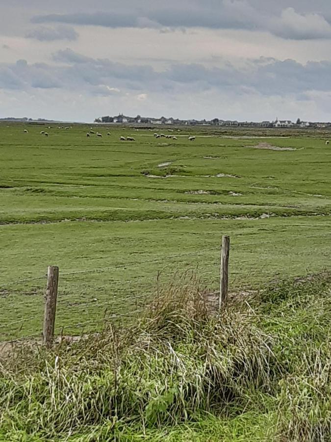 Les Obiones, Vue Laterale Mer, Fort Mahon Plage, Magnifique Studio Cabine 4P, Avec Balcon , Parking Prive Gratuit, Wifi, Classe 2 Etoiles, Exposition Plein Sud En Baie De Somme Zewnętrze zdjęcie