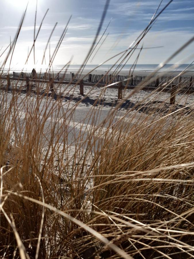 Les Obiones, Vue Laterale Mer, Fort Mahon Plage, Magnifique Studio Cabine 4P, Avec Balcon , Parking Prive Gratuit, Wifi, Classe 2 Etoiles, Exposition Plein Sud En Baie De Somme Zewnętrze zdjęcie